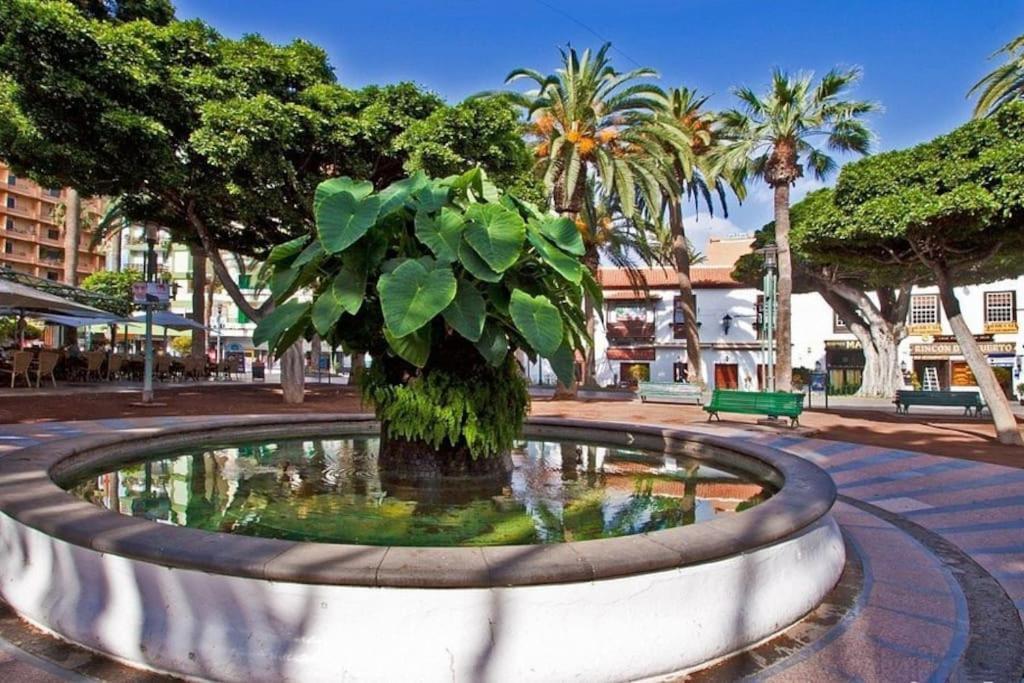 Centrico, Comodo Y Bello Apto En Puerto De La Cruz Eksteriør bilde